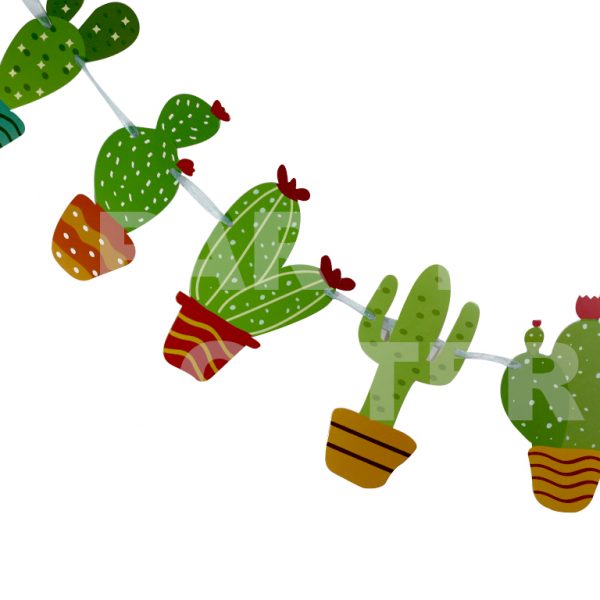 baner kaktus